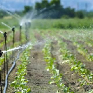 Emergenza idrica, San Bartolomeo al Mare: il Comune vieta in frazione Chiappa l'uso dell'acqua per irrigare campi e giardini Emergenza idrica, San Bartolomeo al Mare: il Comune vieta in frazione Chiappa l'uso dell'acqua per irrigare campi e giardini