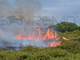 Sanremo: incendi di sabato scorso in via Buonmoschetto, problemi per l'elicottero ma chi deve controllare la pulizia dei terreni?