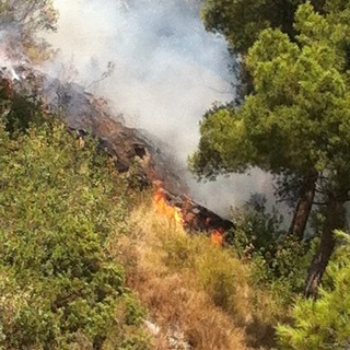 Ventimiglia: incendio boschivo nella frazione di Grimaldi. In azione gli elicotteri antincendio Ventimiglia: incendio boschivo nella frazione di Grimaldi. In azione gli elicotteri antincendio