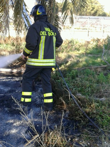 Santo Stefano al Mare: incendio in un palmeto. Situazione sotto controllo grazie all'intervento dei Vigili del Fuoco