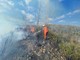 Imperia, incendi a Piani e Caramagna: in azione i volontari della protezione civile