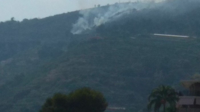 Ospedaletti: incendio boschivo su Monte Nero. Intervento in atto dell'elicottero, dei Vigili del Fuoco e della Protezione Civile