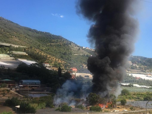 Taggia: incendio nei pressi del maneggio causato dal rogo di alcune sterpaglie