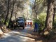 Sanremo, pineta in fiamme: mobilitazione aerea e a terra per domare l’incendio