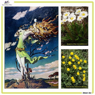 Bajardo: prosegue fino al 18 agosto la mostra “I fiori di Rubino” Bajardo: prosegue fino al 18 agosto la mostra “I fiori di Rubino”