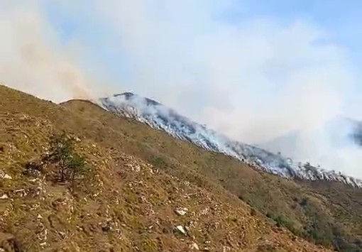 Montalto: vasto incendio in località Binelle, fiamme lontane dalle case ed elicotteri in azione Montalto: vasto incendio in località Binelle, fiamme lontane dalle case ed elicotteri in azione