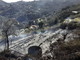 Sanremo, vasto incendio a Verezzo: a fuoco oltre mille metri quadri di campagna