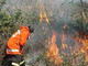 Sanremo: incendio di un oliveto vicino alle case in Valle Armea, intervento dei Vigili del Fuoco Sanremo: incendio di un oliveto vicino alle case in Valle Armea, intervento dei Vigili del Fuoco