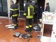 Ventimiglia: principio di incendio dovuto a un corto circuito questo primo pomeriggio in pieno centro Ventimiglia: principio di incendio dovuto a un corto circuito questo primo pomeriggio in pieno centro