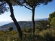 Da San Biagio della Cima parte l'itinerario a piedi sui luoghi di Francesco Biamonti (Foto) Da San Biagio della Cima parte l'itinerario a piedi sui luoghi di Francesco Biamonti (Foto)