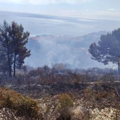 Incendio a Camporosso, Gibelli: "Situazione prontamente contenuta e riportata sotto controllo" (Foto) Incendio a Camporosso, Gibelli: "Situazione prontamente contenuta e riportata sotto controllo" (Foto)
