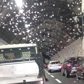 Ventimiglia, incidente in autostrada: traffico in tilt Ventimiglia, incidente in autostrada: traffico in tilt