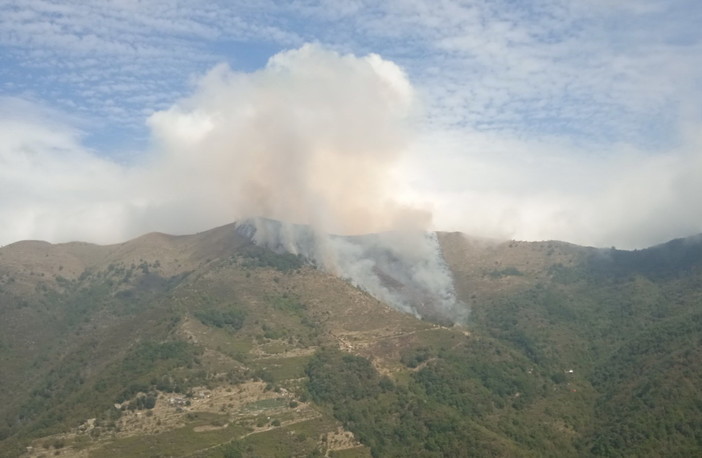 Montalto Carpasio: quasi spento l'incendio che per due giorni ha bruciato il bosco, oggi la bonifica Montalto Carpasio: quasi spento l'incendio che per due giorni ha bruciato il bosco, oggi la bonifica