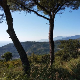 Da San Biagio della Cima parte l'itinerario a piedi sui luoghi di Francesco Biamonti (Foto) Da San Biagio della Cima parte l'itinerario a piedi sui luoghi di Francesco Biamonti (Foto)