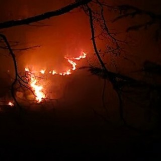 I dati dall’osservatorio Ispra: la Liguria è tra le regioni meno colpite dall’emergenza incendi nel 2025 I dati dall’osservatorio Ispra: la Liguria è tra le regioni meno colpite dall’emergenza incendi nel 2025
