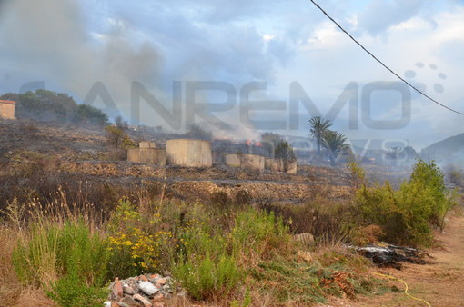 Ventimiglia: incendio di sterpaglie dalla tarda mattinata nella zona di Peglia, intervento dei Vigili del Fuoco Ventimiglia: incendio di sterpaglie dalla tarda mattinata nella zona di Peglia, intervento dei Vigili del Fuoco