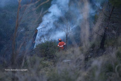 Imperia: piccolo incendio di sterpaglie in regione Panegai, intervento di VVF e Volontari Imperia: piccolo incendio di sterpaglie in regione Panegai, intervento di VVF e Volontari