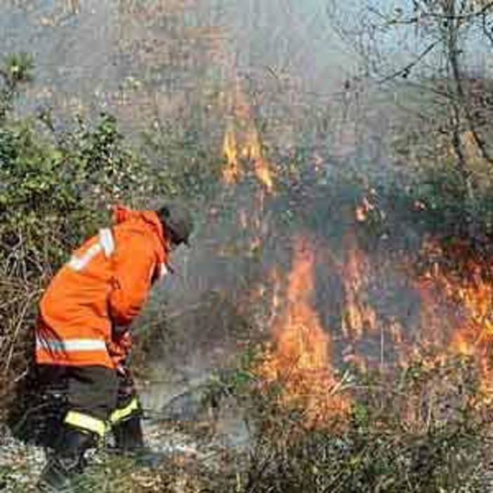 Ceriana: incendio di sterpaglie in corso, Vigili del Fuoco sul posto Ceriana: incendio di sterpaglie in corso, Vigili del Fuoco sul posto