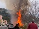 Bussana: paura per un grosso incendio sulla spiaggia, fiamme visibili da diversi chilometri (foto e video)