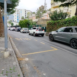 Sanremo: la Lipu chiede di non togliere i pini da via Padre Semeria, dal Comune "Lavoriamo per mantenere il verde e garantire sicurezza"