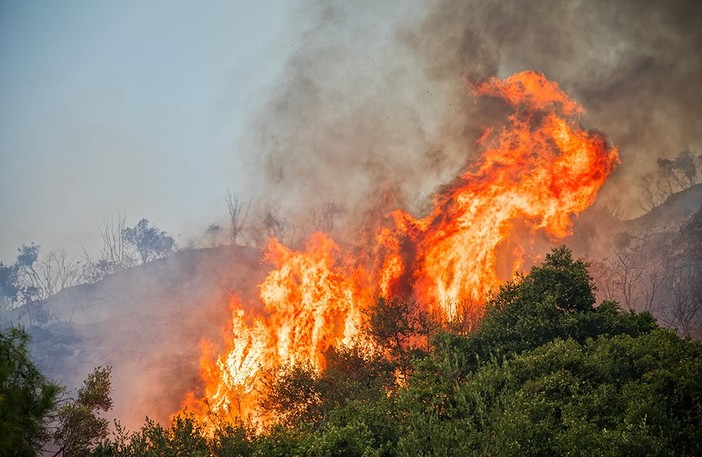 Incendio a Carpasio, fiamme in una zona impervia di macchia mediterranea Incendio a Carpasio, fiamme in una zona impervia di macchia mediterranea