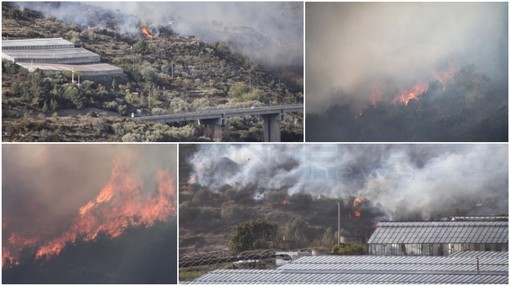 Le immagini dalla zona dell'incendio