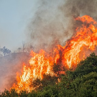 Incendio a Carpasio, fiamme in una zona impervia di macchia mediterranea