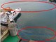 Imperia: inquinamento da gasolio nel porto, la Guardia Costiera risale ai responsabili Imperia: inquinamento da gasolio nel porto, la Guardia Costiera risale ai responsabili