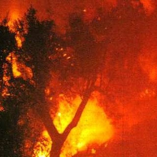 San Lorenzo al Mare: rogo in zona Ponticelli, bruciati circa 2mila mq di vegetazione