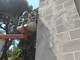 Imperia: rischio crollo calcinacci nella facciata del Comune. Intervento di riparazione in corso Imperia: rischio crollo calcinacci nella facciata del Comune. Intervento di riparazione in corso