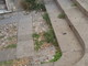Sanremo: situazione di degrado nel centro cittadino, la segnalazione con foto di una cittadina Sanremo: situazione di degrado nel centro cittadino, la segnalazione con foto di una cittadina