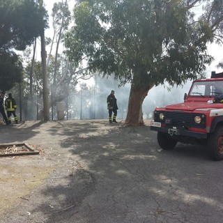Cervo: mobilitazione di soccorsi per spegnere un principio d'incendio nei pressi del Camping Mimosa Cervo: mobilitazione di soccorsi per spegnere un principio d'incendio nei pressi del Camping Mimosa