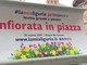 #Lamialiguria Primavera: conclusa l’infiorata in piazza De Ferrari, 8 ore di lavoro, 8500 fiori utilizzati
