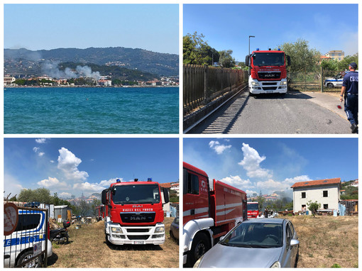 Incendio di sterpaglie in un campo a Diano Marina, intervento dei vigili del fuoco (foto)