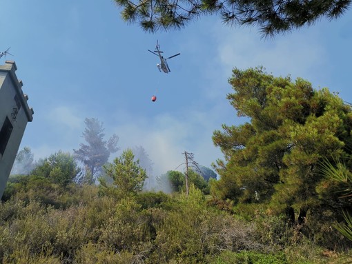 Bordighera, è doloso l'incendio divampato in località Montenero. Fermati dalla polizia municipale alcuni giovani. Si attende l'esito delle immagini delle telecamere (Foto e video) Bordighera, è doloso l'incendio divampato in località Montenero. Fermati dalla polizia municipale alcuni giovani. Si attende l'esito delle immagini delle telecamere (Foto e video)