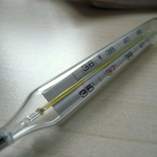 Influenza in calo nella nostra provincia: contagiati la metà degli imperiesi rispetto all'anno scorso Influenza in calo nella nostra provincia: contagiati la metà degli imperiesi rispetto all'anno scorso