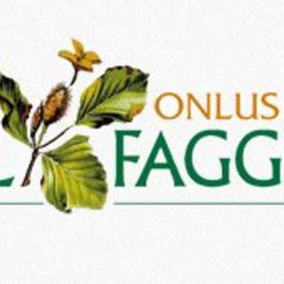 Imperia: licenziata una apprendista infermiera al 'Faggio', con l'ashstag #iostoconlory i dipendenti lanciano la protesta Imperia: licenziata una apprendista infermiera al 'Faggio', con l'ashstag #iostoconlory i dipendenti lanciano la protesta