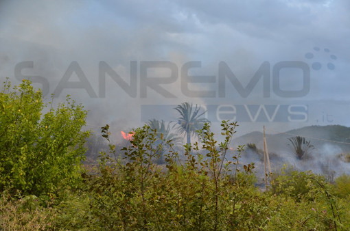 Bordighera: nonostante l'ordinanza si continuano a bruciare residui vegetali, occhio a multe e denunce penali