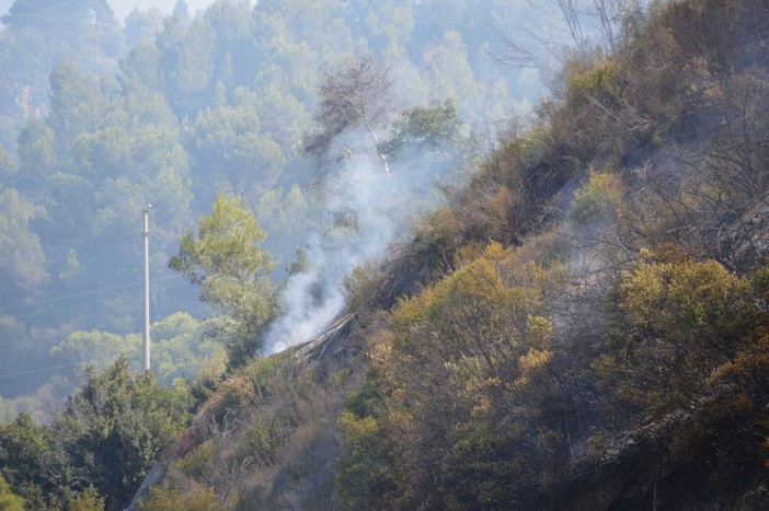 Due incendi di sterpaglie a Ceriana ed in regione Baitè ad Imperia: interventi dei Vigili del Fuoco Due incendi di sterpaglie a Ceriana ed in regione Baitè ad Imperia: interventi dei Vigili del Fuoco