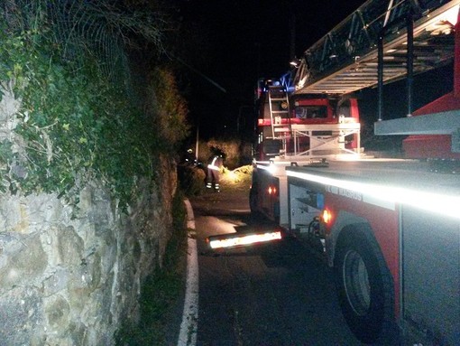 Imperia: notte di passione per i Vigili del Fuoco. La caduta di un pino blocca la ferrovia. Crolla un albero anche a Sant'Agata Imperia: notte di passione per i Vigili del Fuoco. La caduta di un pino blocca la ferrovia. Crolla un albero anche a Sant'Agata