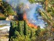 Bordighera: vasto incendio distrugge una serra nelle vicinanze del parco Winter