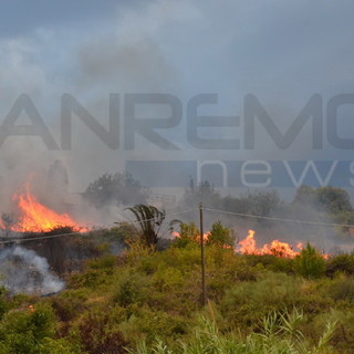Divieto di accensione di fuochi nelle campagne: nonostante le multe da 2.000 euro c'è chi li accende comunque
