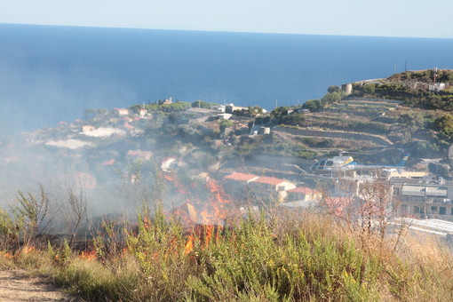 Sanremo: vasto incendio sulle alture di Poggio, nessun ferito ma tanta preoccupazione Sanremo: vasto incendio sulle alture di Poggio, nessun ferito ma tanta preoccupazione