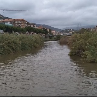 Maltempo a Imperia, le immagini della pioggia battente (video)