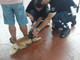 Ventimiglia: deiezioni canine e decoro urbano, avviati i controlli della Polizia Locale e delle guardie zoofile nella città di confine Ventimiglia: deiezioni canine e decoro urbano, avviati i controlli della Polizia Locale e delle guardie zoofile nella città di confine