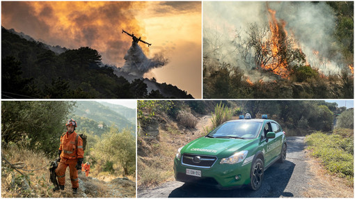 Emergenza incendi nel Ponente ligure: le indagini vanno avanti separate, tra testimoni e videosorveglianza Emergenza incendi nel Ponente ligure: le indagini vanno avanti separate, tra testimoni e videosorveglianza