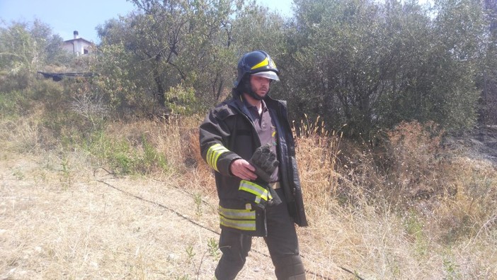 Imperia: a fuoco alcune sterpaglie vicino alla ferrovia a Caramagna (foto e video)