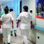 Sanità ligure, allarme per la carenza di infermieri: nell'Asl 1 turni pesanti e sicurezza a rischio, dubbi anche sul nuovo ospedale Sanità ligure, allarme per la carenza di infermieri: nell'Asl 1 turni pesanti e sicurezza a rischio, dubbi anche sul nuovo ospedale