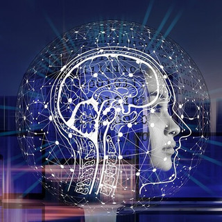 Come l’AI seleziona le fonti online: uno studio rivela come cambia il modo di scrivere in ottica SEO Come l’AI seleziona le fonti online: uno studio rivela come cambia il modo di scrivere in ottica SEO
