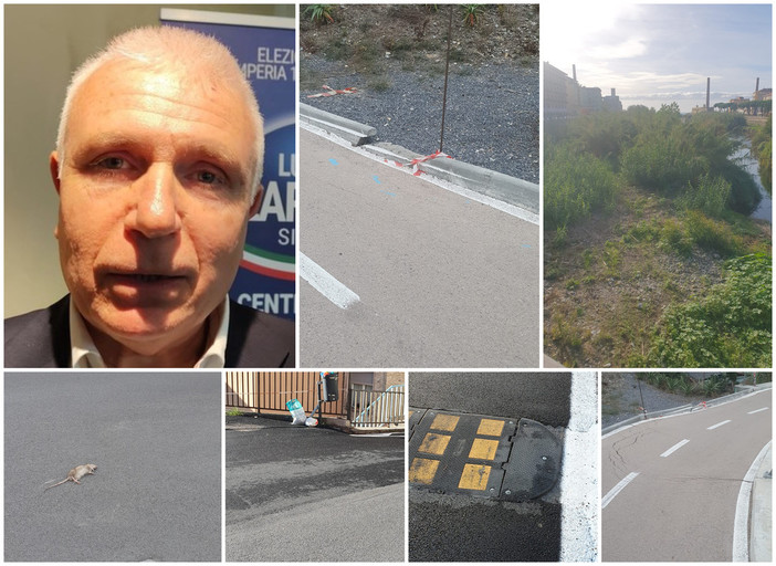 Zarbano: "In città forte aumento di mosche, zanzare, di ratti e anche di...parassiti" Zarbano: "In città forte aumento di mosche, zanzare, di ratti e anche di...parassiti"